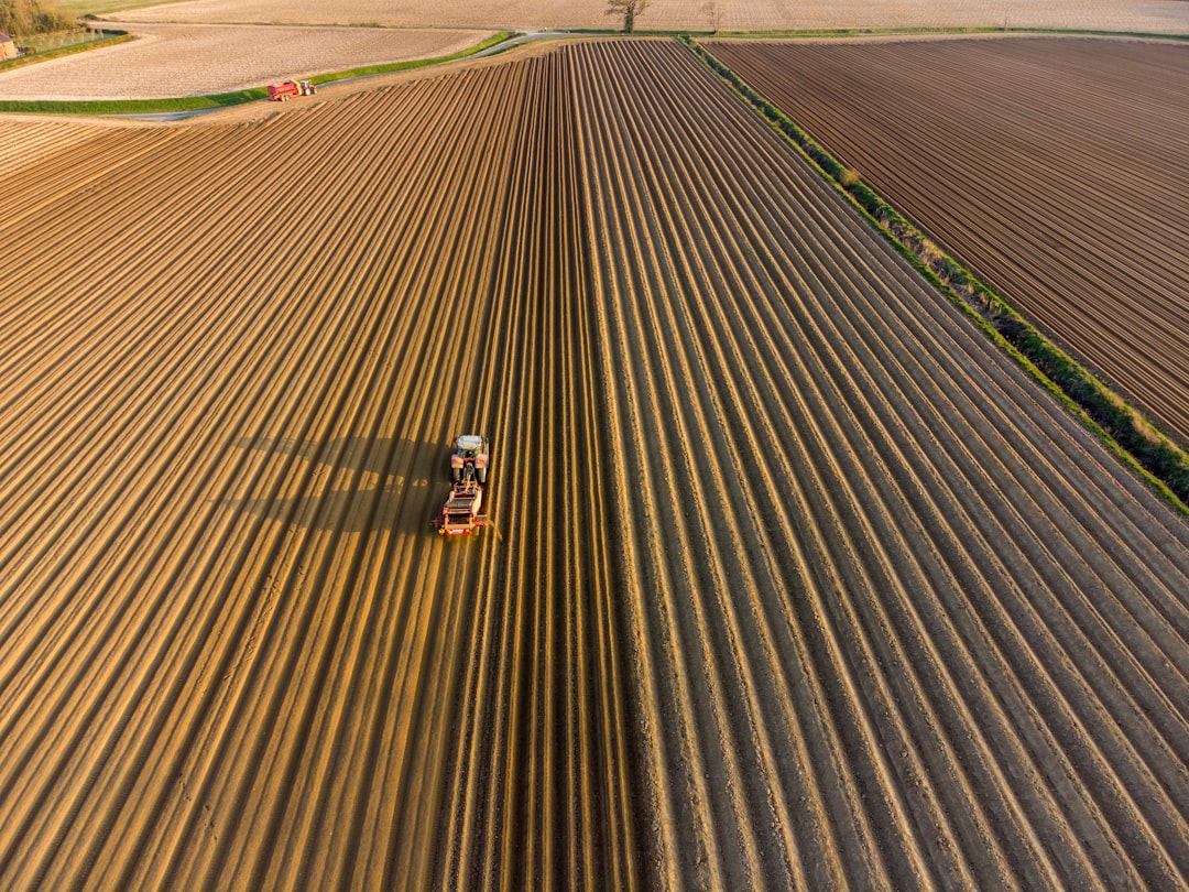 Agriculture II.    Potato Planting